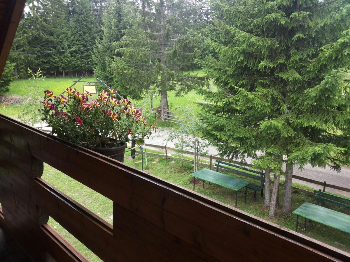 Holiday Home Stella Star Zabljak  Ngoại thất bức ảnh