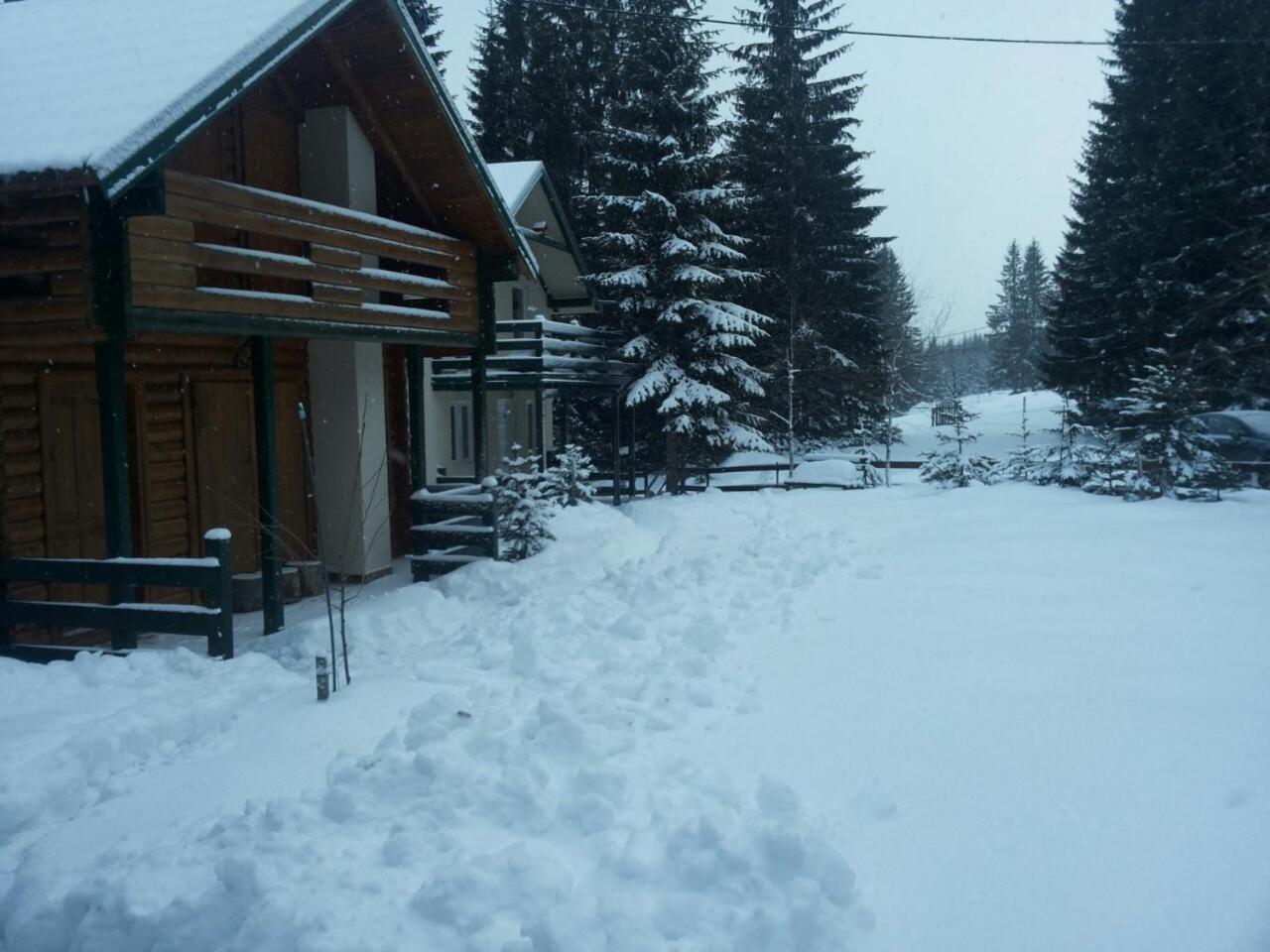 Holiday Home Stella Star Zabljak  Ngoại thất bức ảnh